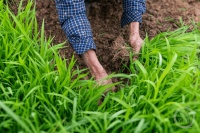 “春影”（381） | 上游主题摄影征稿作品展——易华芸作品