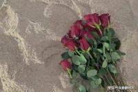 两种老人最难养老，即使再有钱也很难晚年幸福，看看你是不是