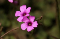 王羲之告诉你，改变命运最好的方式，就是这三个成语