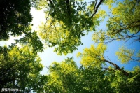 七首暮春诗词，清丽唯美，意韵深远，道尽繁华与落寞