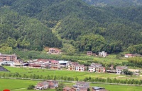 不管有没有钱，只要家中出现了这“三种小动物”，家庭越来越富贵