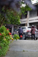 五一回乡｜乡野家乡 常念常想（2）