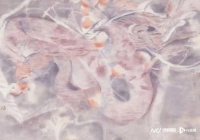 荣宝斋首届青年艺术家提名展首站亮相广州，下一站深圳文博会