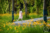 “盛夏”（7） | 上游主题摄影征稿作品展——冯克琼作品