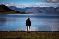 一条忍着不死的鱼（深度好文）