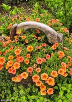 【美文悦读】晚春：两首词，惊艳了时光，温柔了岁月