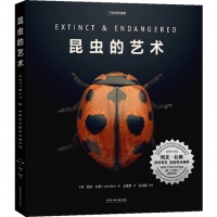 《昆虫的艺术》译者王建赟：被误解的“大黄蜂”原来如此可爱
