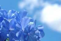 心眼阴毒的人，大多有这3个特征，聪明的人懂得远离