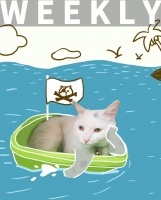 为什么人们会对「挠痒痒」有性趣？｜WEEKLY