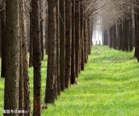 【荐读】保持专注，成为更好的自己