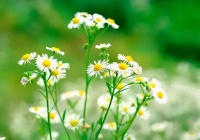 如果你越来越沉默，说明你在走上坡路