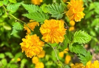 中年女人的不幸，是把3件隐私告诉他人，原因现实