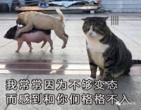 人间清醒匈牙利！前程远大