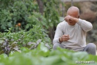 人老了，如果老伴先离开了，请逼自己做好这几件事