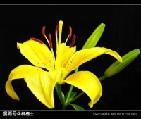 【荐读】让开心成为一种习惯