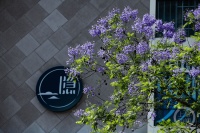 “盛夏”（35） | 上游主题摄影征稿作品展——冉小军作品