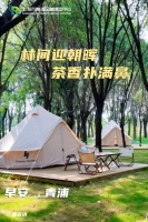 早安青浦｜林间迎朝晖，茶香扑满鼻