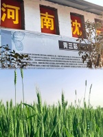沈丘一对农家父子麦田里的坚守，原来河南不仅有唐三彩，还有个青三彩