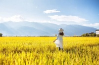 成年人最聪明的活法：慢一点