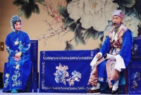 又见《花为媒》，3000场精进仍在路上