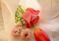 一个女人最顶级的状态，不是长相和婚姻，而是这4个字