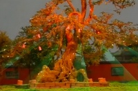 难怪人参果树天地间仅此一棵，你看看菩提祖师对孙悟空说了啥