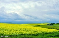 【荐读】烦恼的解药，在于“自渡”