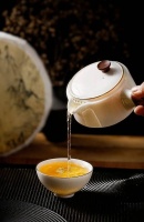 积30年之功，只为译注一本《茶经》