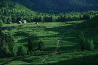 李娟：你无法选择生活，但可以选择自己的角落