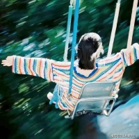 许多朋友，仅仅是伙伴而已