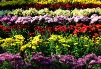 汪缘堂：圣人超越俗人的不仅是才华与智慧