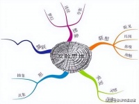 混江龙李俊有多厉害？了解一下他的发散性思维，就知道他有多强悍