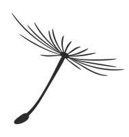 荐号 | 那些你百看不厌的内容，都在这里！