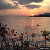 我们对别人的评价，不一定是真正的别人，但一定是真正的自己