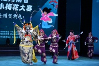 朵朵“小梅花”展风采，河南梨园赋新声
