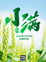 人间最好是“小满”