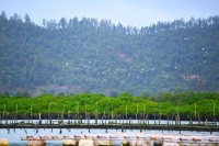 小满 | 万物初盈，收获可期