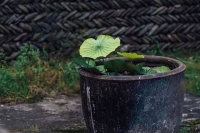 夜读 | 提前明白这几个道理，别等撞了南墙才回头