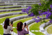 “盛夏”（67） | 上游主题摄影征稿作品展——梁国华作品