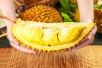 榴莲价格为何暴跌？