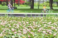 草满花堤水满溪 诗意无锡旺生机