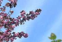 人到中年，女人越做3件事，状态也会越好