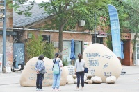 超40场展览开启夏日艺术之旅