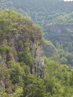 诫子书摘录 （三）