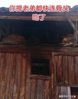 贵州：男子打工几年，回家发现哥哥建房把路堵死了，连外人都不如