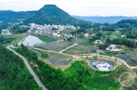 “盛夏”（93） | 上游主题摄影征稿作品展——程聪作品