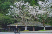 夜读｜避开浓度超标的“毒鸡汤”：有些鸡汤，喝下去只会耽误自己