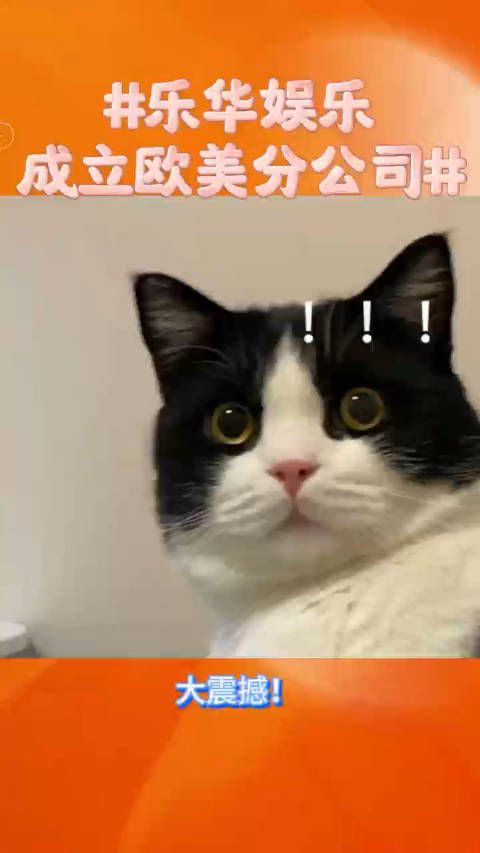 起猛了,一觉睡醒居然看到乐华娱乐成立欧美分公司了…