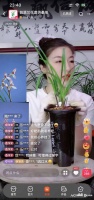 “90”后韶关青年返乡创业，用诚信打响翁源兰花金字招牌