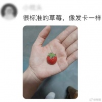 生活中遇到的一些长得很标准的东西，看着就让人开心~